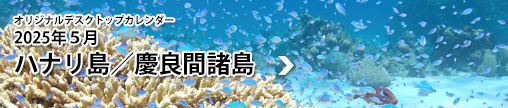 IWifXNgbvJ_[E2025NTEԑ勴^ԓ