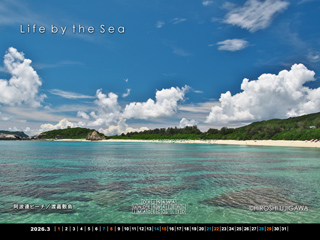 �f�X�N�g�b�v�J�����_�[�A�C�R��